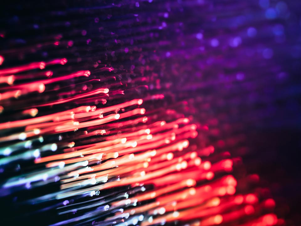 Fibre Optic Fellow